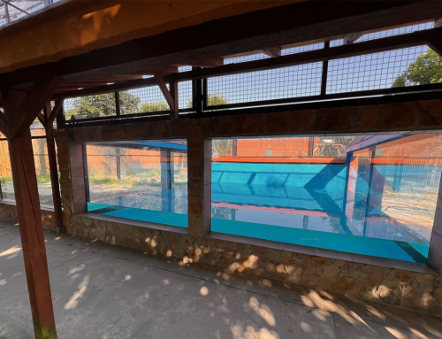Podwodne okna akrylowe w Zoo Borysew